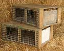 Small Pheasant Shipping Crates