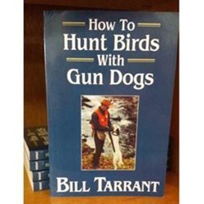 How to Hunt Birds with Bird Dogs