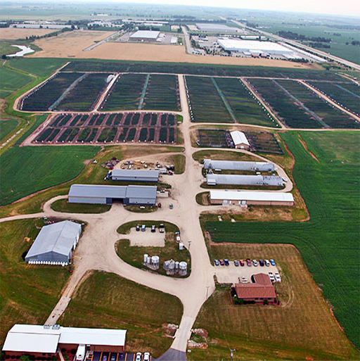 Pheasant Farm Tour