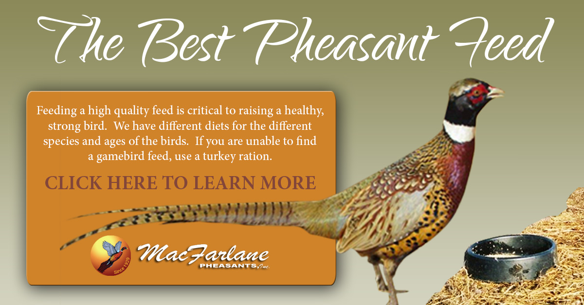 MacFarlane Pheasant Feed