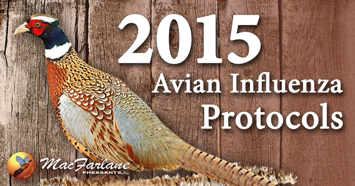 MacFarlane Avian Influenza Precautions