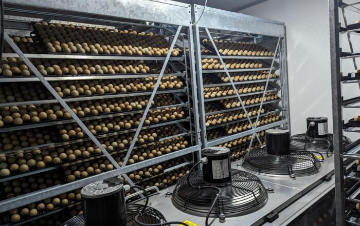 Photo of Incubator