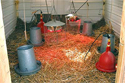 Brooder Brooder