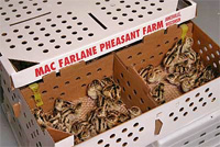 Hatchery Hatchery