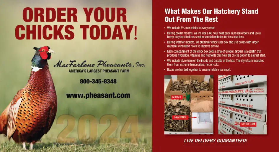 2024 Chicks Pricing Catalog