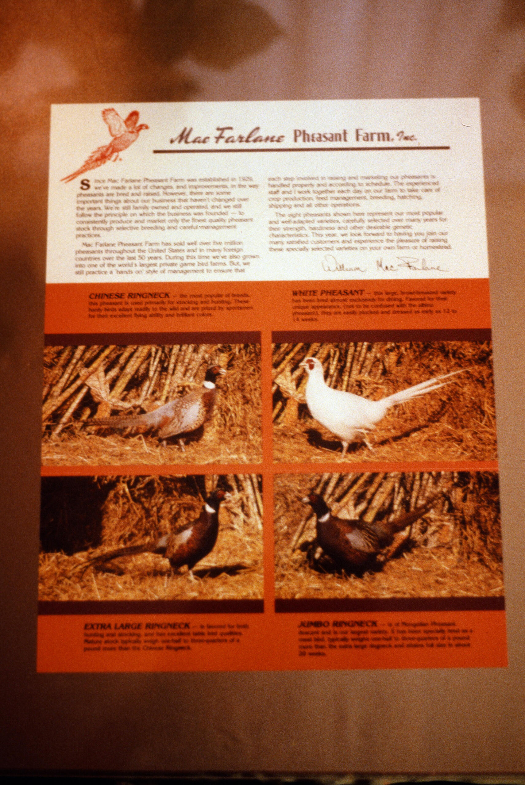 00195_s_14altnq5520195