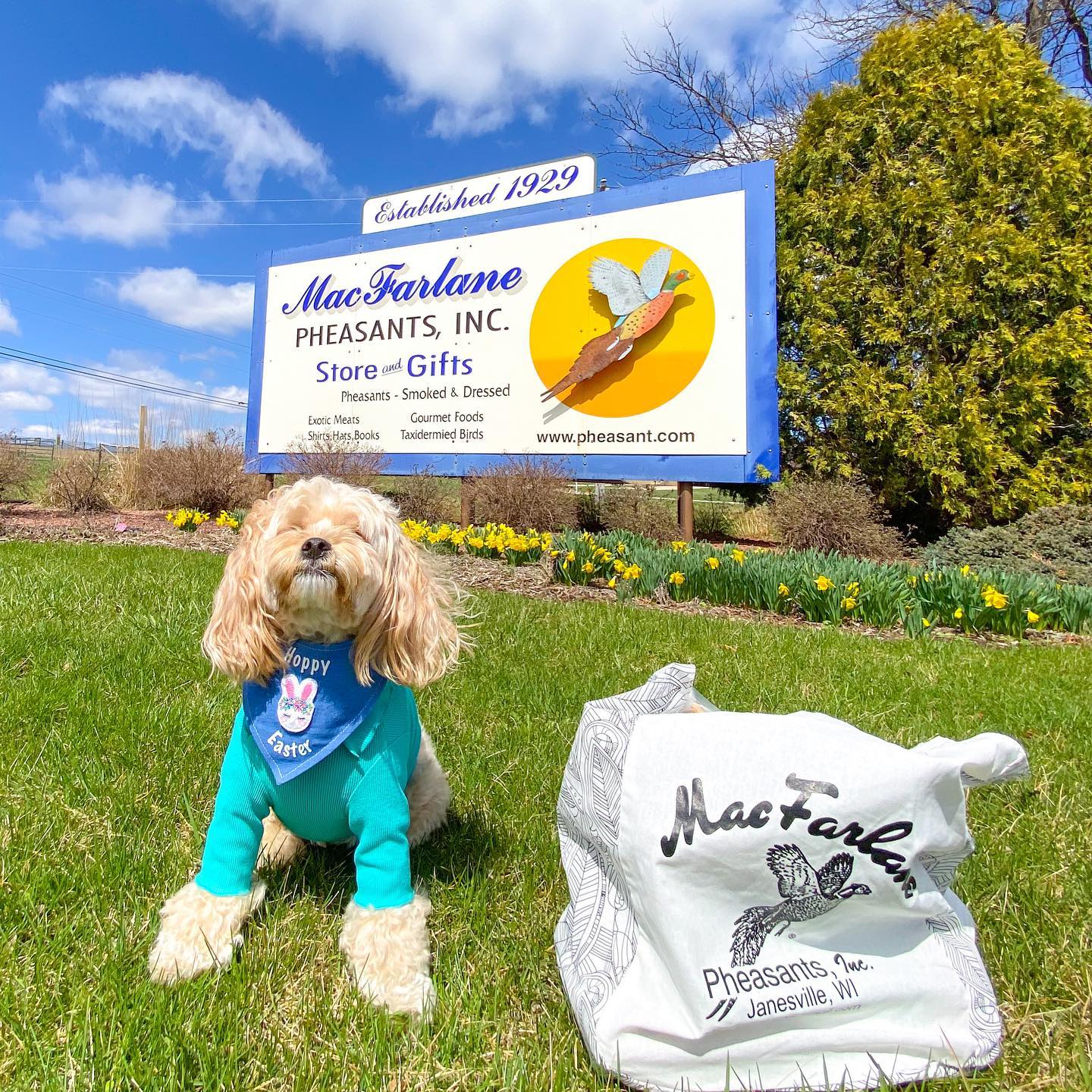 278561772_699875257802821_4607301112828707245_n