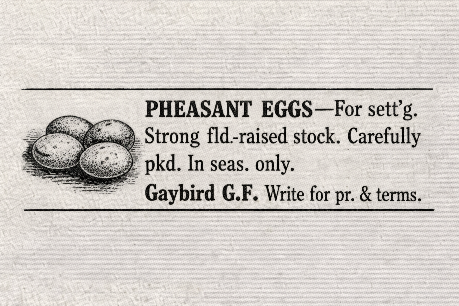 ChatGPT Image Jan 29, 2026, 11_37_26 AM