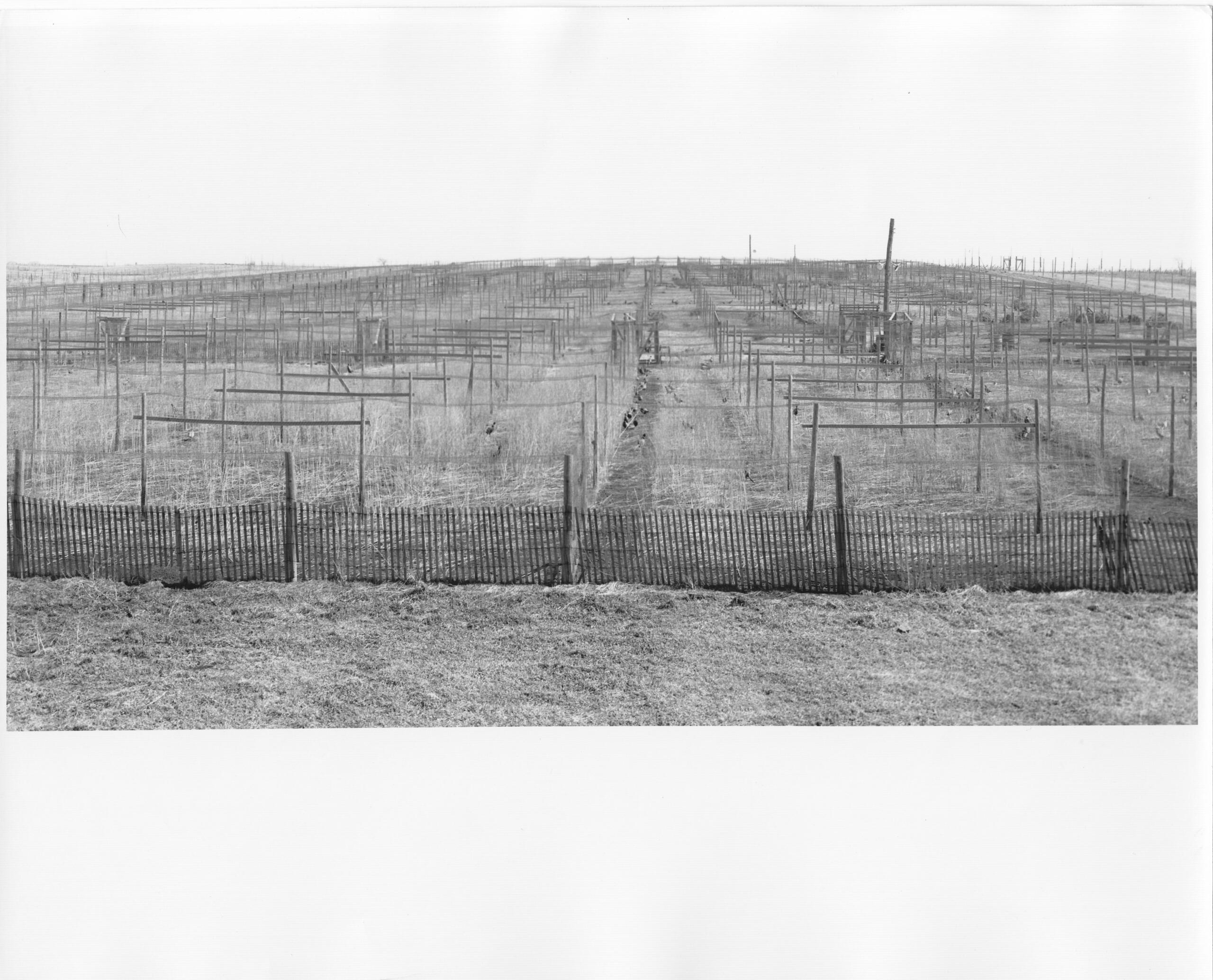 Historical Article_0017