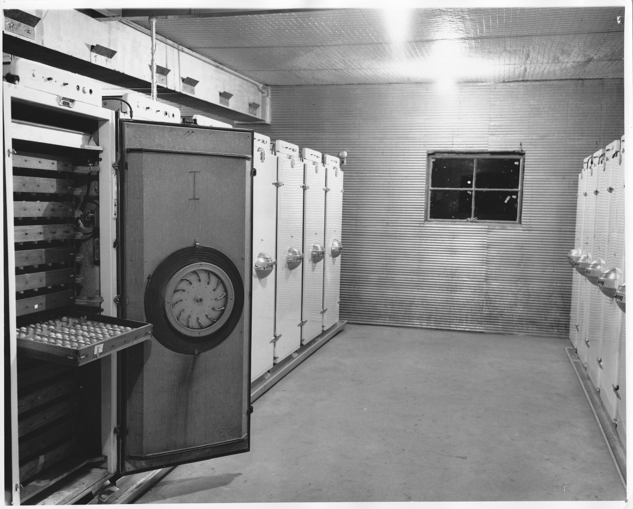 Historical Article_0020