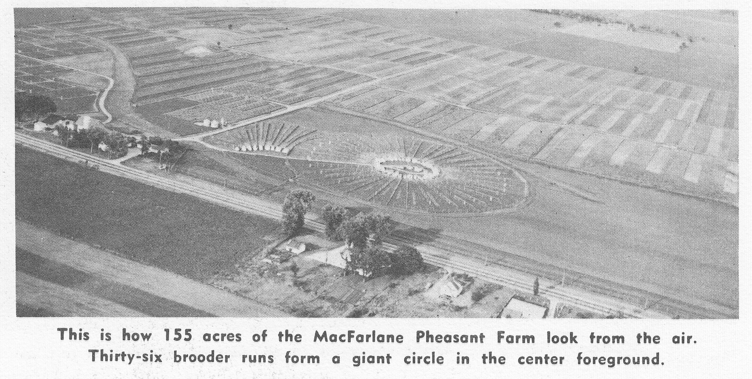 Screenshot 2026-01-29 122435