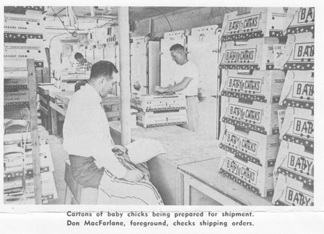 Screenshot 2026-01-29 122505