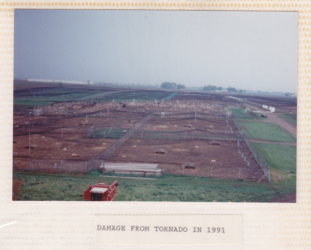 Screenshot 2026-01-29 124819