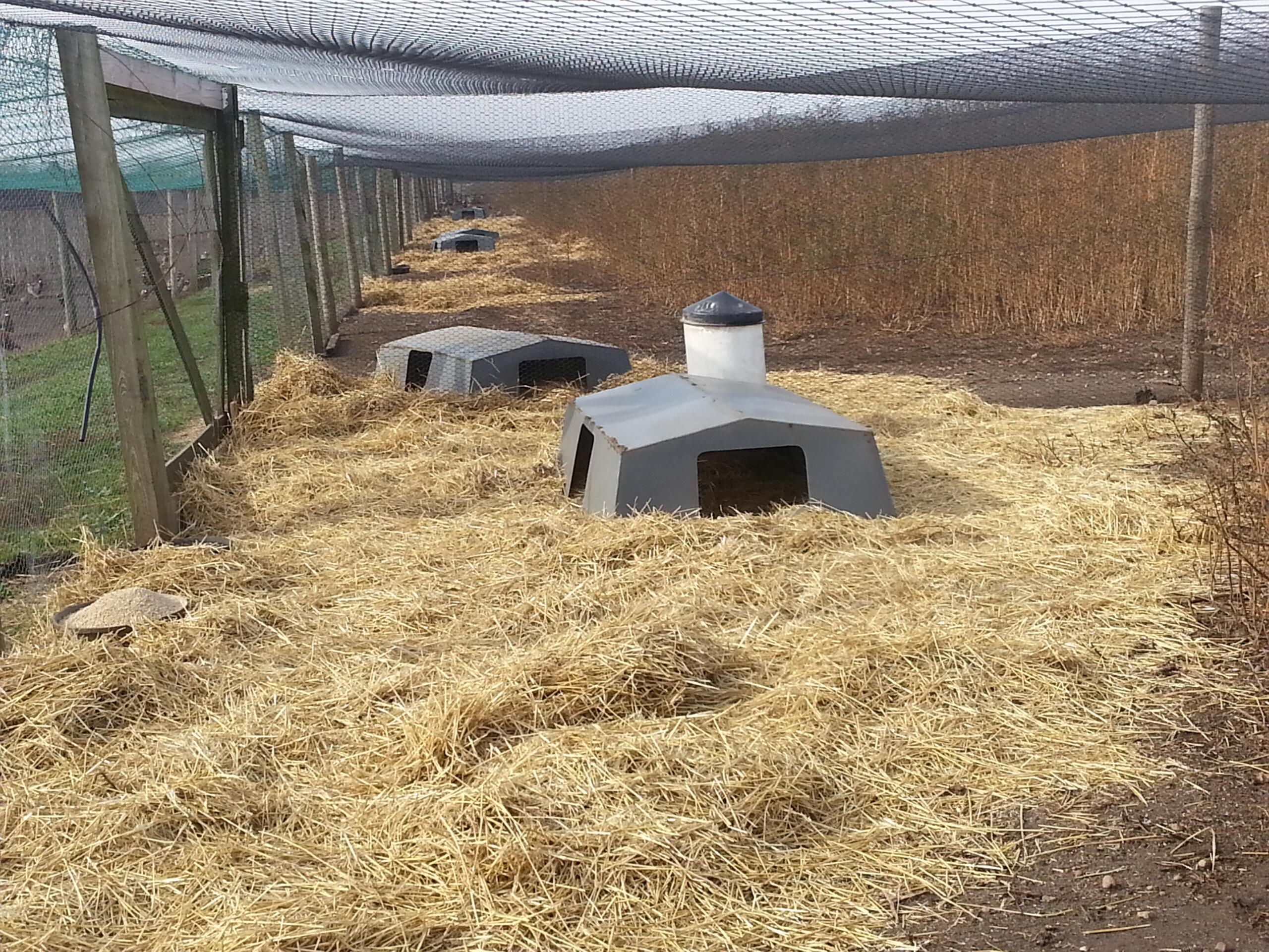 pen set up with huts smaller